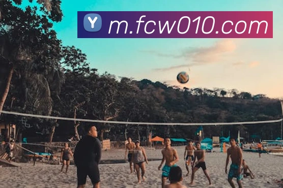 福彩网平台生态图